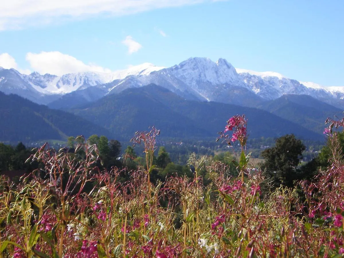 Przyczepa Campingowa Ogrzewana !!Temperatura 17Lub 18Stopni Zakopane Lengyelország